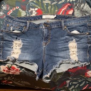Torrid short shorts